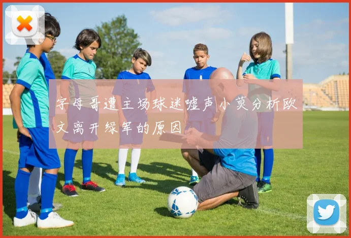 字母哥遭主场球迷嘘声小莫分析欧文离开绿军的原因