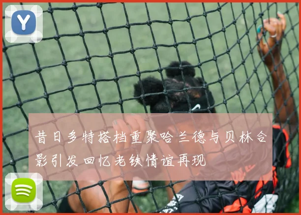 昔日多特搭档重聚哈兰德与贝林合影引发回忆老铁情谊再现