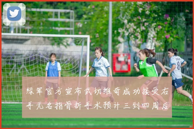 绿军官方宣布武切维奇成功接受右手无名指骨折手术预计三到四周后复查