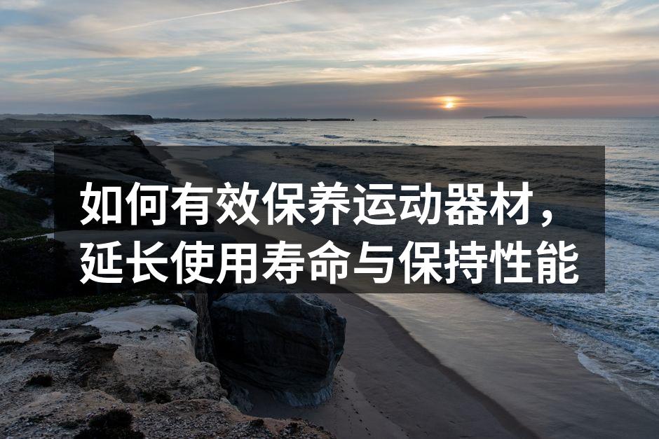 运动器材清洁设备