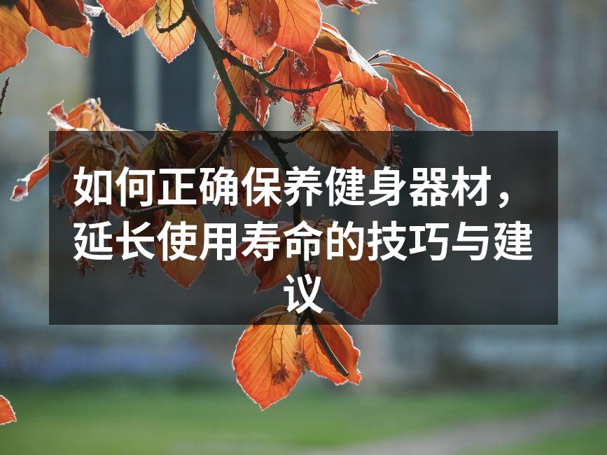 定期清洁跑步机是保养的关键